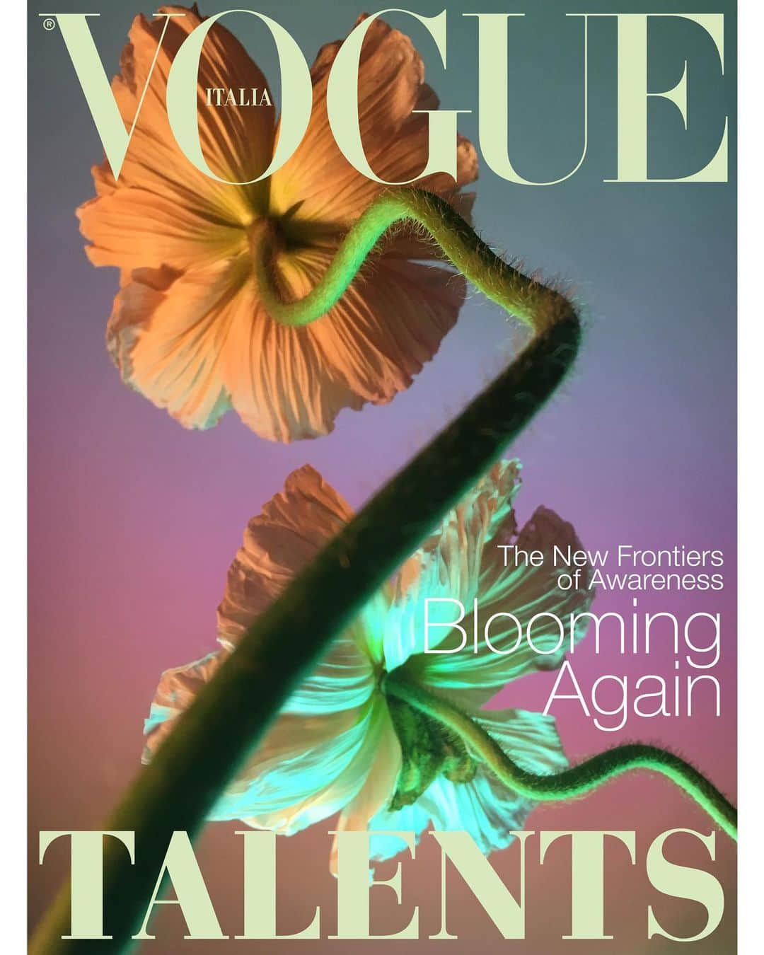 Vogue Italiaさんのインスタグラム写真 - (Vogue ItaliaInstagram)「❀ Vogue Talents February 2021 Issue ❀ on newsstands today. The New Frontiers of Awareness - “Blooming Again” is a hopeful invitation to focus on what really means to be mindful in the creative field.  On the cover a photo by @doan_ly.  Discover more via link in bio.   Full credits:  Head of Vogue Talents @saramaino_  Executive Editor @pervincabellini Features Editors @fbottenghi & @alberto_calabrese Fashion Projects Coordinator  @serenacastrignano Fashion Editor @riccardoterzo Graphic Design @lauramarinoisalive (project), #MarioBazzoni & @la_roby Copy Editor #AntonyStGeorgeBowden Contributors @alexanderbelph, @color_paulette, @giusy_de_ceglia, @maranif, @rachelglicksberg, @binzento, @alessandroxmannelli, @piarey and #RichardSadleir.  #VogueTalents #alwaysupportalent #BloomingAgain #betterfuture」2月5日 17時58分 - vogueitalia