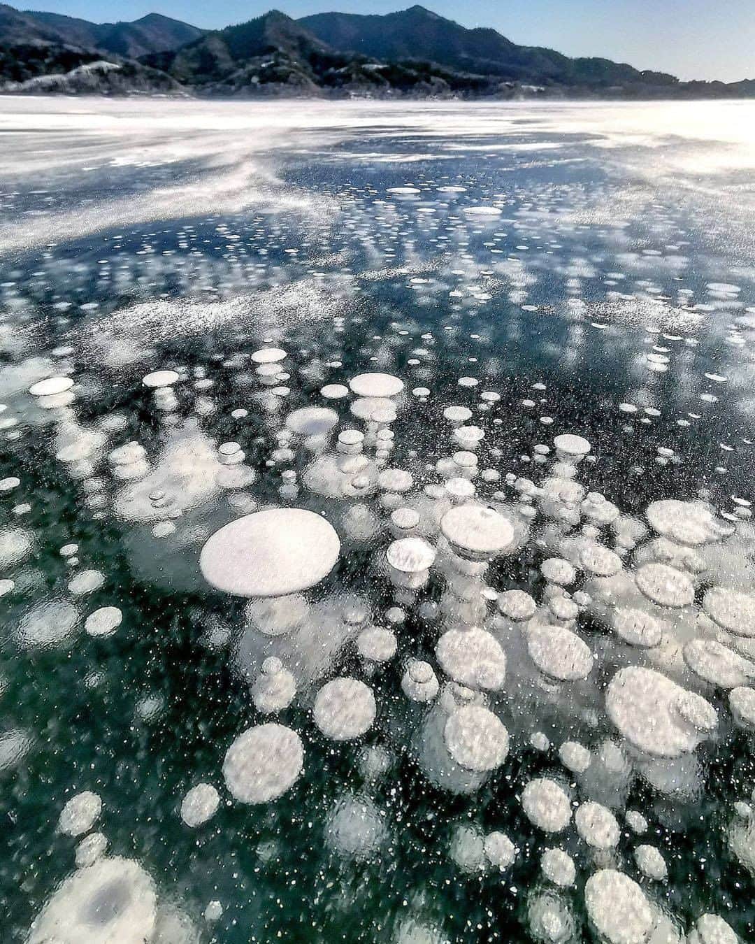 ピーチ・アビエーションさんのインスタグラム写真 - (ピーチ・アビエーションInstagram)「2月10日就航の東京（成田）ー女満別線を記念して、 本日は、ひがし北海道のスポットをご紹介します。 #上士幌町 にある糠平（ぬかびら）湖で冬だけ見られる #アイスバブル は わき出るガスが何層にも凍って美しい模様ができる現象❄️  自然を観て楽しんだあとは、冬のアクティビティ #ワカサギ釣り にも挑戦できて、近くには糠平温泉があり冷えた体を温められるのも嬉しいポイントです♪♨️  ※糠平湖立入期間は2021年1月4日〜3月上旬まで 観光協会のHPなどで事前に情報をご確認ください。 . . . . . . . . . . . . . . . . . . . . . . . . . . . . . . . . . . . . ▶Photo by @ziyun176  OOKINI!! ▶Place： #北海道 #糠平湖 . . . . . . . . . . . . . . . . . . . . . . . . . . . . . . . . . . . . Peachでは各就航地で撮影された皆さまのお写真をInstagramでご紹介させていただいています。 #fly_peach をつけて投稿してください✨ . #北海道観光 #北海道旅行 #上士幌 #冬景色 #行き先は北海道 #日本の絶景 #景色写真 #撮影スポット #winterjapan #オトナ旅 #次の旅先リスト #hokkaidotrip #hokkaidosgram #hokkaido #japan_of_insta #look_japan #japanview #bestphoto_japan #japan_art_photography #photo_shorttrip」2月5日 18時04分 - flypeach