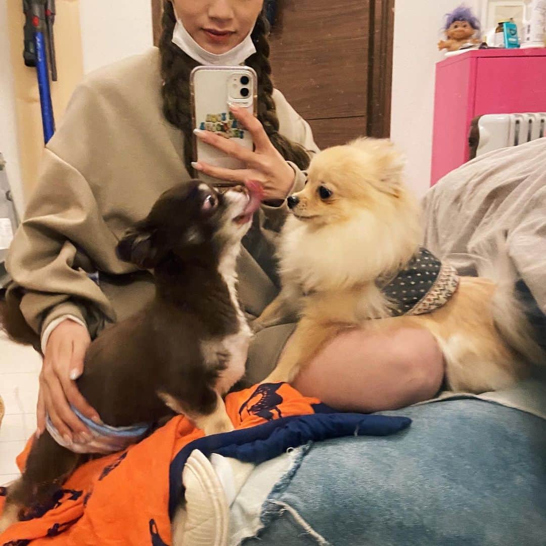 矢部ユウナのインスタグラム：「もずくハウスに来てます☺︎🏠ぽんちゃん相変わらず威張ってるぅ〜🐶」