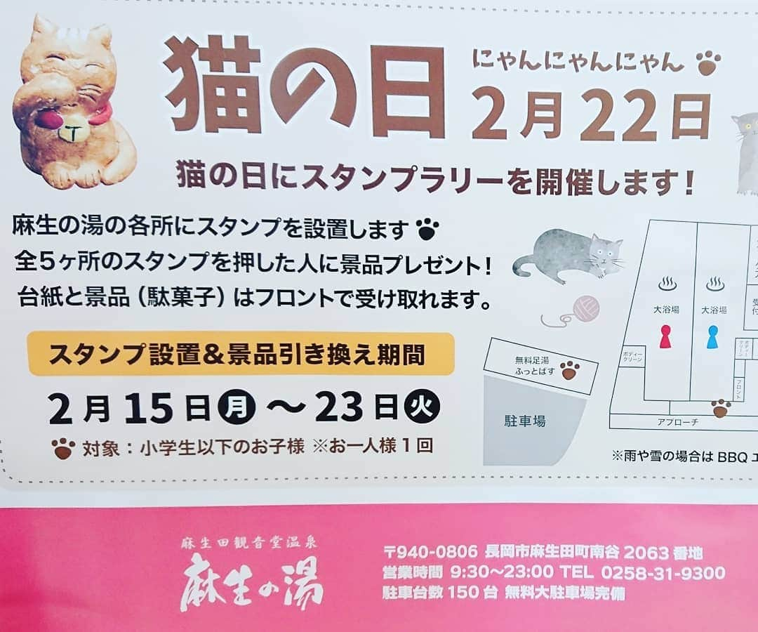 伊勢みずほさんのインスタグラム写真 - (伊勢みずほInstagram)「美味しいペスカトーレ❇️  猫の日のイベントも気ににゃる🐈  #麻生の湯 #天然温泉 #温泉 #日帰り湯 #ランチ #休日 #ストレス発散 #ストレス解消 #ペスカトーレ #テイクアウト #アカスリ #エステ #マッサージ #猫の日 #イベント #スタンプラリー #長岡市 #新潟県 #レストラン #長岡ランチ #長岡パスタ #長岡日帰り湯 #長岡日帰り温泉 #感染対策バッチリ #🐈 #猫部 #猫 #にゃんこ #ねこちゃん #2月22日」2月5日 18時24分 - isemizuhoo