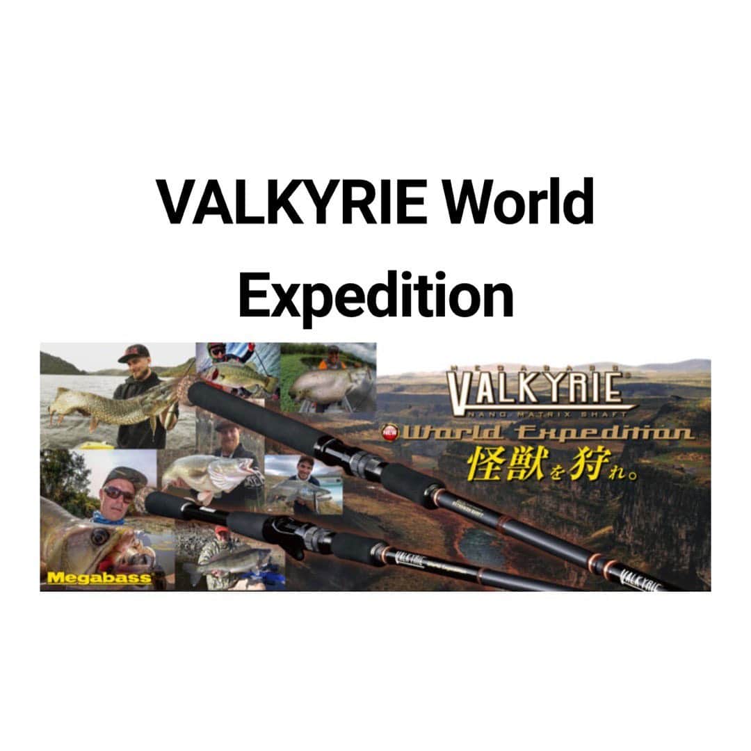 HASSYさんのインスタグラム写真 - (HASSYInstagram)「. 【Megabass】 VALKYRIE World Expedition  2021年はコイツガンガン使います🐅  #Megabass #メガバス #VALKYRIE #ヴァルキリー  #VALKYRIEWorldExpedition #ブラックバス #blackbass #バス釣り #blackbassfishing #バスフィッシング #bassfishing #lurefishing  #ええやんかぁ」2月5日 18時29分 - hassy_upsetter
