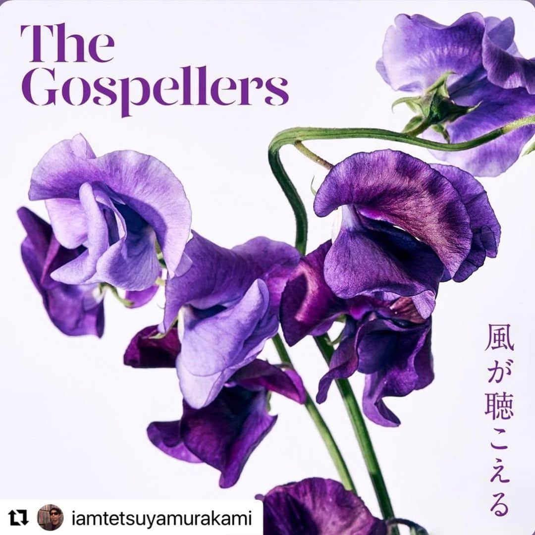 酒井雄二のインスタグラム：「#Repost @iamtetsuyamurakami with @make_repost ・・・ 昨年10月からの5ヶ月連続配信リリース企画「ゴスペラーズが足りない」  いよいよラストの第5弾♬  25周年を迎えた日に発表したゴスペラーズ史上初めてとなる楽曲の一般公募  約半年の応募期間で集まったのはなんと700曲以上！  熱い気持ちで我々に向けて作曲してくださった皆様に心より感謝いたします  予想を遥かに超える数の楽曲が届いたことが何より嬉しいのです  本当にありがたく凄いことだなと改めて思います  その中から我々が選んだのは、シンガーソングライターの細井タカフミさんによる「風が聴こえる」  選考の最後まで残った数曲はどれも素晴らしく、メンバー・スタッフも悩みましたがこの曲が持つストレートなエナジーに我々の心は奮い立ちました  大切に歌います😎  #ゴスペラーズが足りない  #風が聴こえる #細井タカフミ」