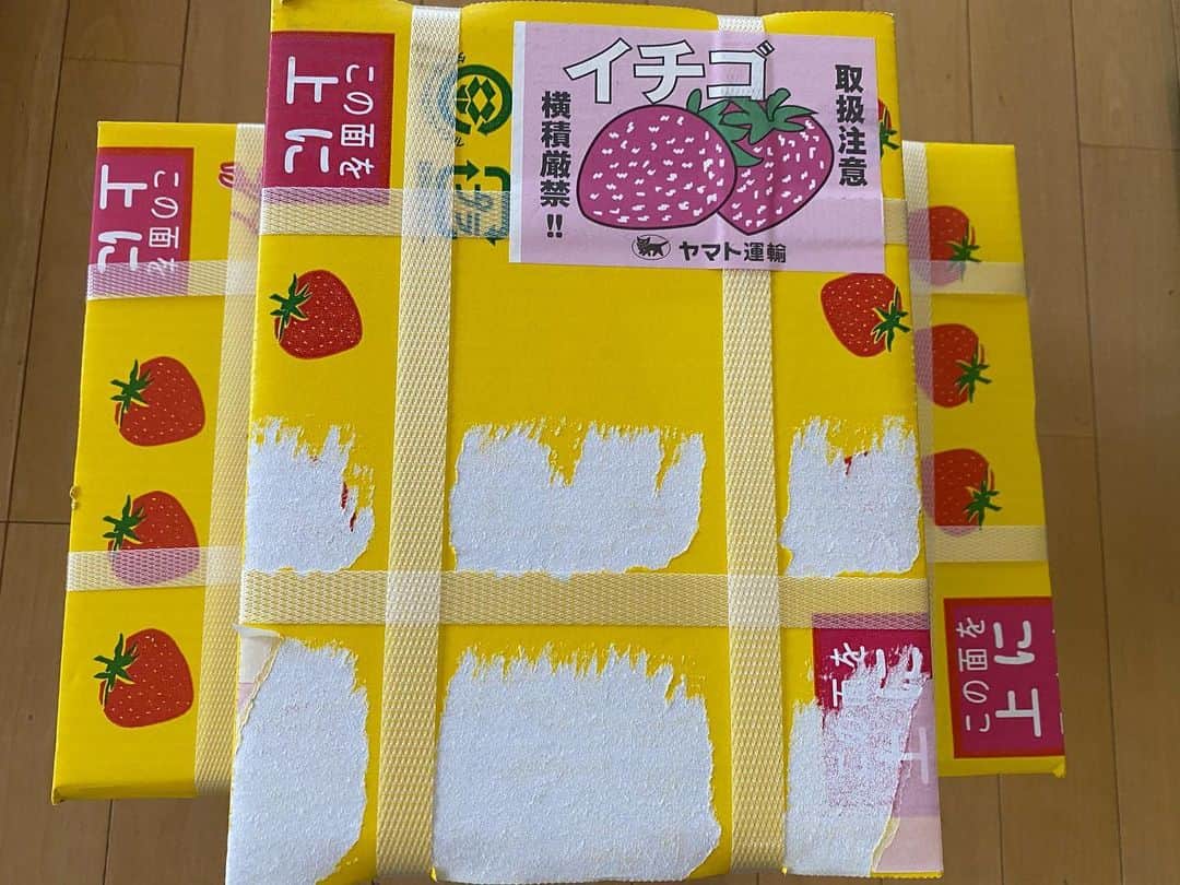 小沢仁志さんのインスタグラム写真 - (小沢仁志Instagram)「茨城の鹿島から イチゴが届いた❗️ 渡辺さん、ありがとうございます❗️ しかし、凄い量笑」2月5日 12時04分 - ozawa_hitoshi