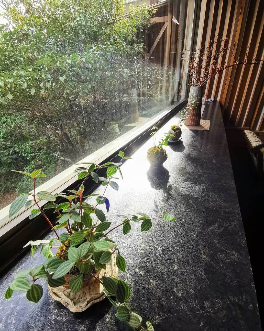 湯の山温泉 寿亭|Ryokan KOTOBUKITEIのインスタグラム：「･ 2階ロビーにて、窓際のお写真🪴 大きな窓から見れる#日本庭園 と天気と共にかわいくて癒される#苔玉 もご覧いただけます💗 苔玉や#観葉植物 、#お花 が好きな私にとって、ふと見るだけで癒される場所でもあります☺️💭✨ 是非、お越しの際にはご覧くださいませ。 窓から見る景色は季節により、ガラッと印象が変わりそれぞれの季節、お楽しみいただける場所、#寿亭 でのお楽しみいただけるひとつでもあります🥰🥰 ･ また、本日(5日)から9日まで当館は休館致します。 10日から、また更なる出会い、そして、お客様のお越しを楽しみにしております☺️♨️よろしくお願いいたします。 ･  #三重#温泉#温泉好き#温泉旅行#旅行#温泉旅館#寿亭三重旅#三重旅行#女子旅#旅館寿亭#寿亭中庭#部屋食#有形文化財 #おもてなし #湯の山温泉 #三重旅館 #寿亭  #mie#japan#yunoyamaonsen#onsen#ryokan#ryokanlife#visitmie」