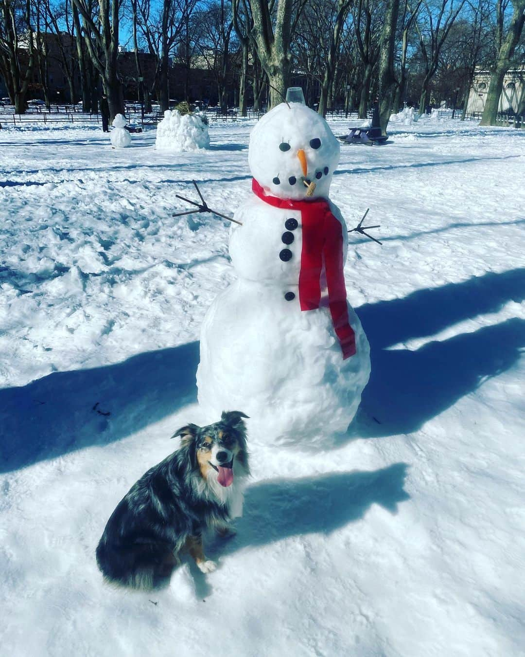 ケラン・ラッツさんのインスタグラム写真 - (ケラン・ラッツInstagram)「Kellan and Koda circa 2021 🐶☃️  #itsfreezinghere #itscold」2月5日 12時35分 - kellanlutz