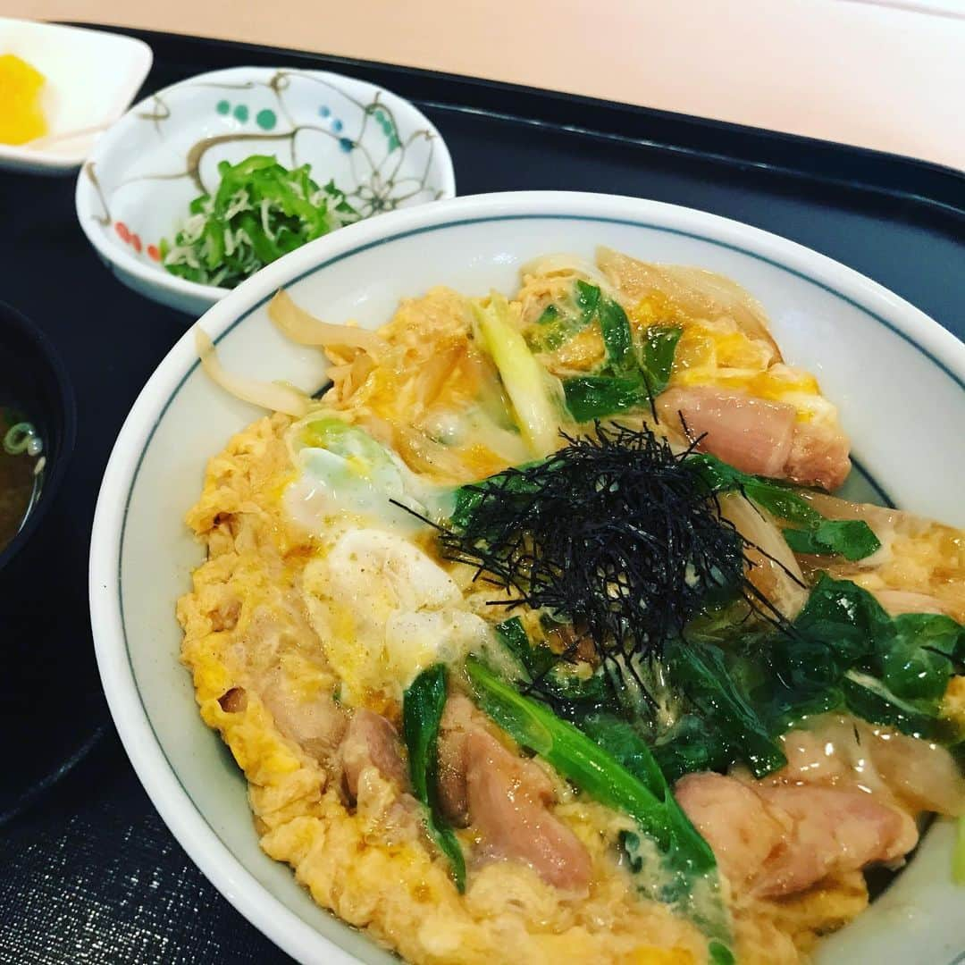 子守康範のインスタグラム：「今日の一食目は美味しい親子丼😋 #社長メシ   いつもの日替わりが無かったのは、客数が読めないので、これまでのような仕入れができないからだとか🐟  予約がなければ、昼で帰るそうだ。」