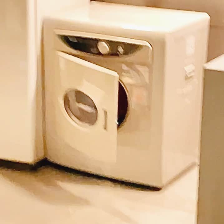 Katetsaiのインスタグラム：「烘衣機裡面的工讀生終於出現了 The part-time worker hiding in the dryer finally appears.   #麥摳連烘衣機的門都會開 #麥摳你到底還有什麼不會 #麥摳還會開紗窗  #cat #neko #ネコ #ねこ #猫  #Michaelfansclub #麥摳Michael #catsofinstagram #katetsaivideo」