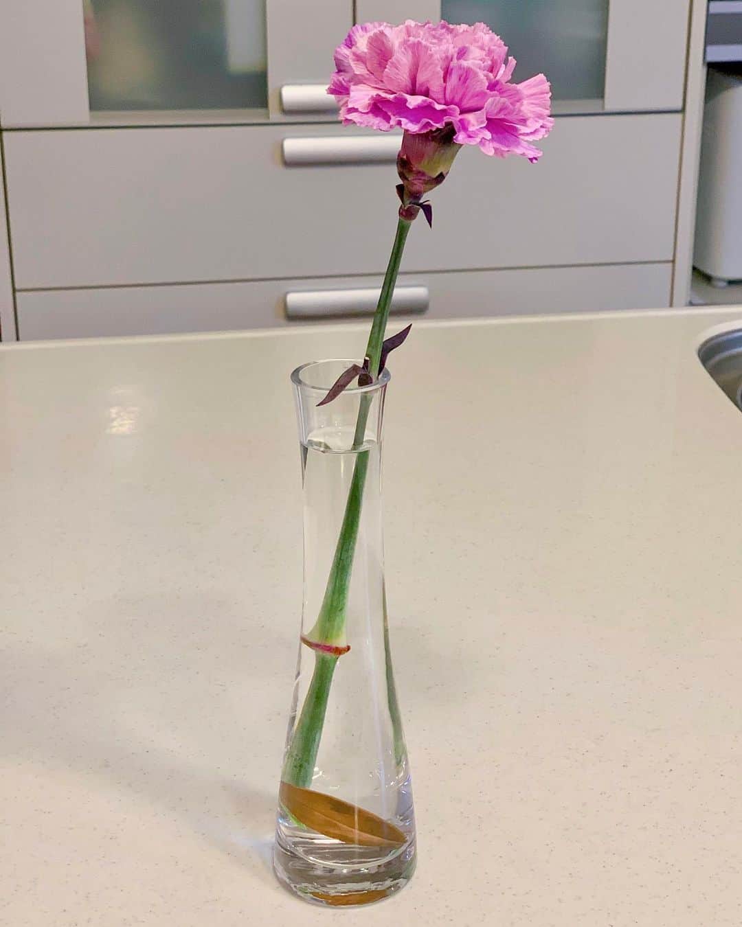 ochikeronさんのインスタグラム写真 - (ochikeronInstagram)「Got a new vase for a single flower 🌹✨」2月5日 13時17分 - ochikeron