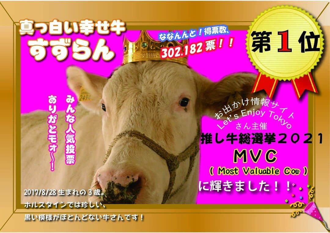 のインスタグラム：「【嬉しいご報告🐄】  レッツエンジョイ東京さんで開催されていた「#推し牛総選挙2021 」にて  な、なんと！！！😳 成田ゆめ牧場の「すずらん」が、 \\#初代推し牛グランプリ // になりました㊗️🎉  みんなの心温かいご声援、投票のおかげです！ ありがとうございました😊  レッツエンジョイ東京さん 結果ページはコチラ▼ enjoytokyo.jp/feature/pr/cow…  #牛 #丑年 #mvc #成田ゆめ牧場  #牧場 #千葉県 #成田 #おでかけ  #naritadreamfarm #farm #farmstagram」