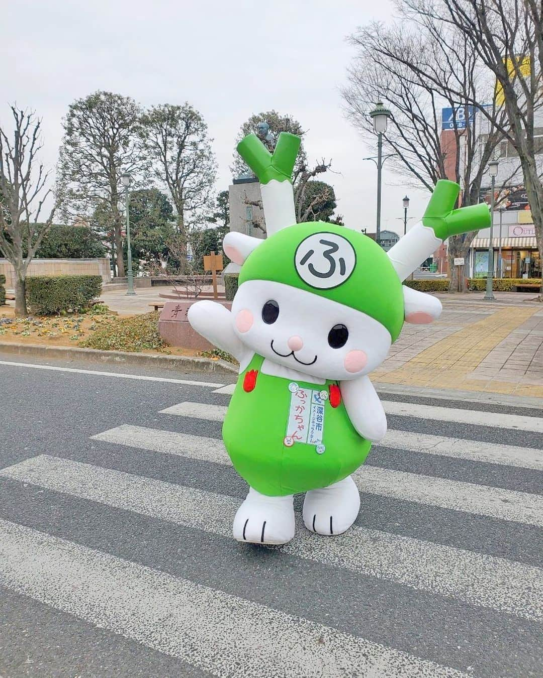 ふっかちゃんのインスタグラム：「はぁ〜い！ 横断歩道、渡りまぁ〜す♪Y(o0ω0o)Y  #ふっかちゃん #fukkachan #埼玉県深谷市 #深谷市 #深谷 #fukaya #イメージキャラクター #深谷ねぎ #渋沢栄一 #新一万円札 #大河ドラマ #青天を衝け #大河ドラマ館 #青淵広場 #今日もおさんぽ #交通安全 #ルールを守って #渡ろうねぇ #おねぎの角から #栄一さんが #ひょっこり #奇跡の一枚 #お見逃しなく 壁|ω0o)Y」