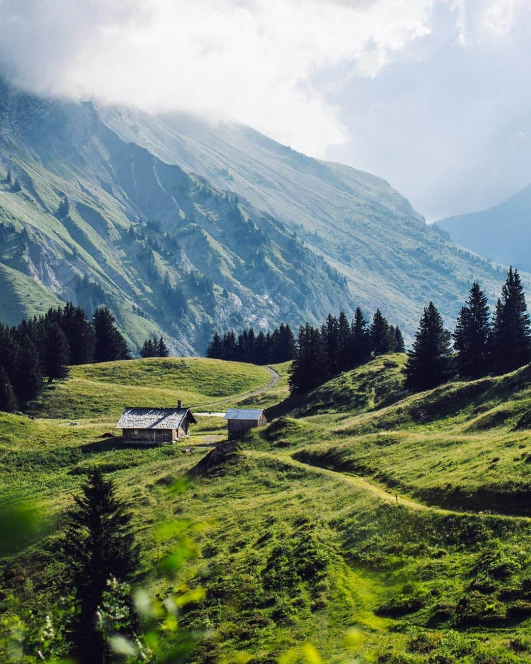 Clarins Australiaさんのインスタグラム写真 - (Clarins AustraliaInstagram)「What's the secret to the purity of our new cleansers?✨ Tucked away in the French Alps is the breathtaking Domaine Clarins, where we nurture exceptional ingredients with complete respect for nature. This perfect environment allows us to grow pure, naturally effective ingredients that smell great, feel great and help the skin detox and start afresh! 💚⁣ ⁣ #DomaineClarins #brandnew #HappyCleansing #ResponsibleBeauty #CleanBeauty #biodiversity」2月5日 15時00分 - clarinsanz