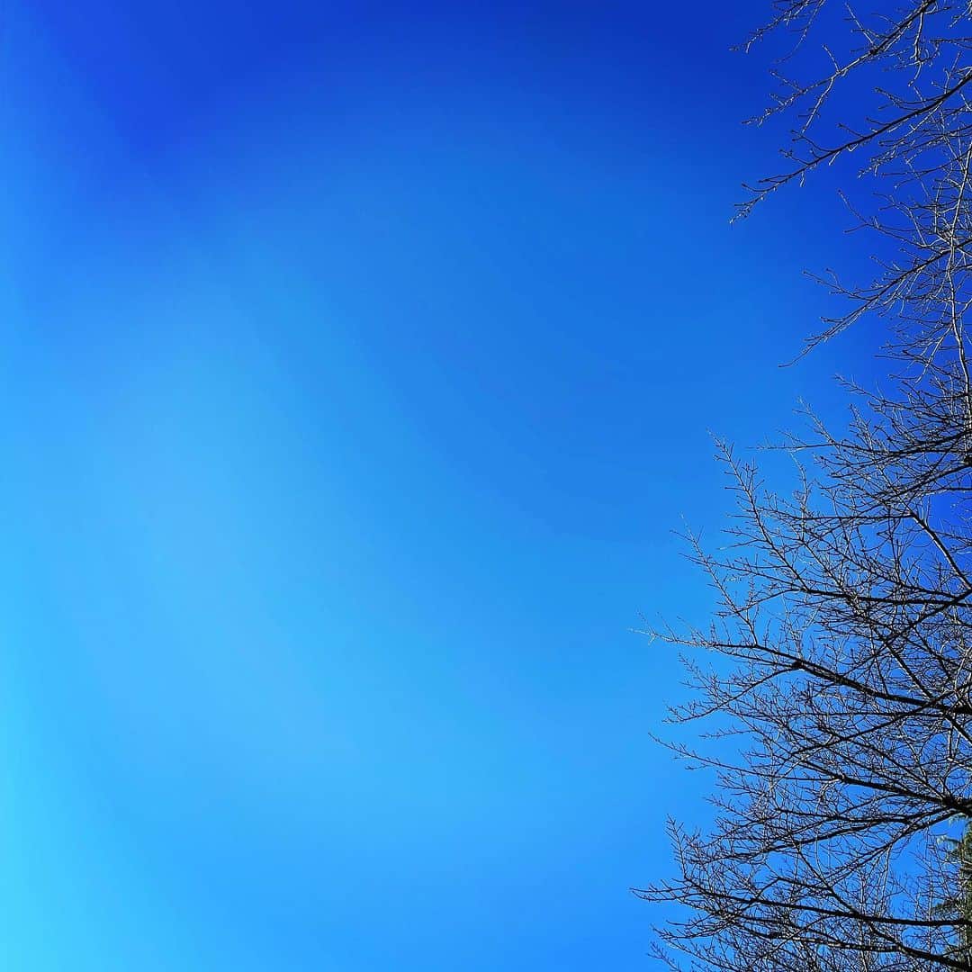 菊地哲さんのインスタグラム写真 - (菊地哲Instagram)「sky.」2月5日 15時33分 - greatzupper
