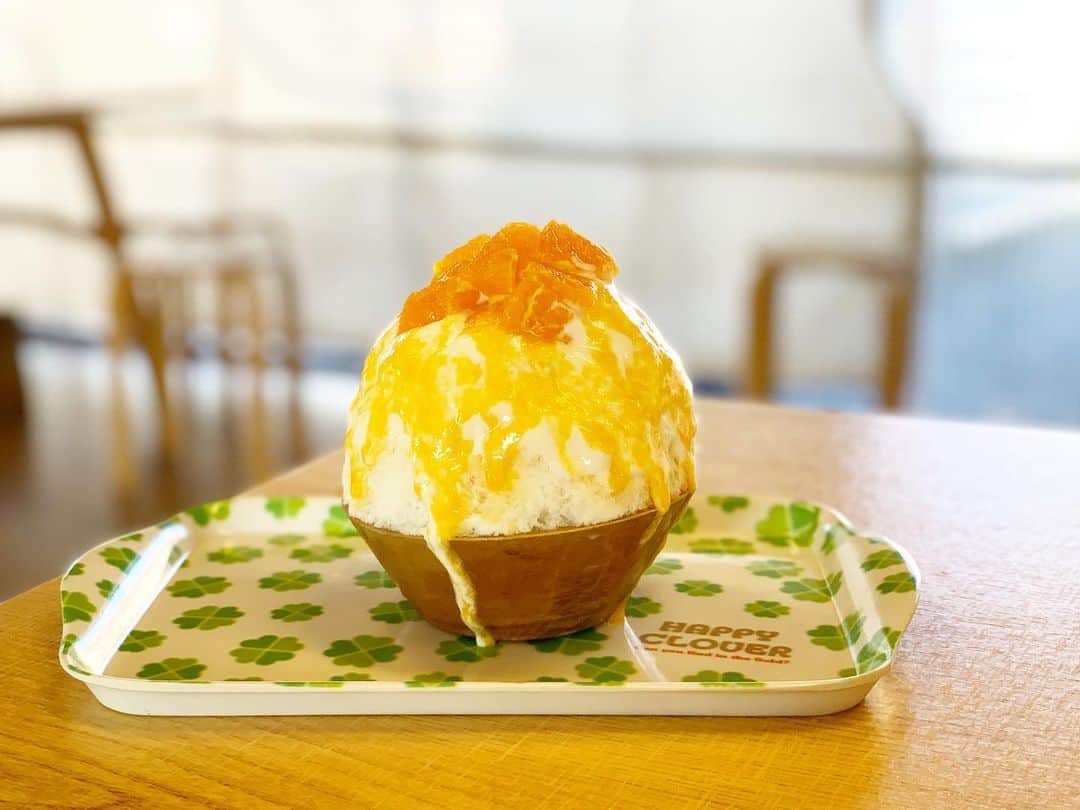 原田麻子さんのインスタグラム写真 - (原田麻子Instagram)「かんぺいヨーグルト  わぁあ！めちゃくちゃ甘くて果汁がじゅんわー！の甘平！！ がたっぷり！美味しいに決まってる  かんきつのなかでもかなりお高いかんぺい。 でもすごく美味しかったからお店で使う用に帰りに買って来たよ  #かき氷#かき氷🍧#おやつ#ごはん#sweets#shaveice」2月5日 15時34分 - achakoko