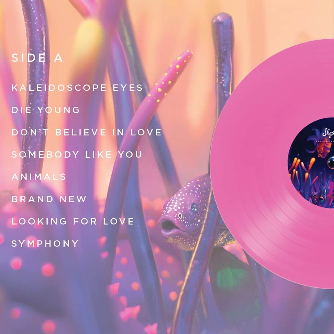 シェパードのインスタグラム：「Have you pre ordered the new vinyl yet? It's the premium listening experience for this album!❤」