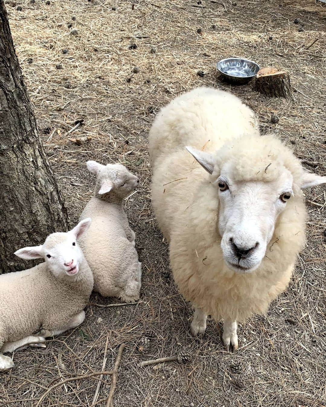 ヒョジョンさんのインスタグラム写真 - (ヒョジョンInstagram)「땅만빌리지에서 나의 모습이 진짜 좋다!!!  너무 많은 사랑을 받고 추억을 쌓아서 너무 힐링된 날들이였다😀 진짜 너무 다들 고마워용 우리 땅빌가족들😍」2月5日 16時15分 - candyz_hyojung