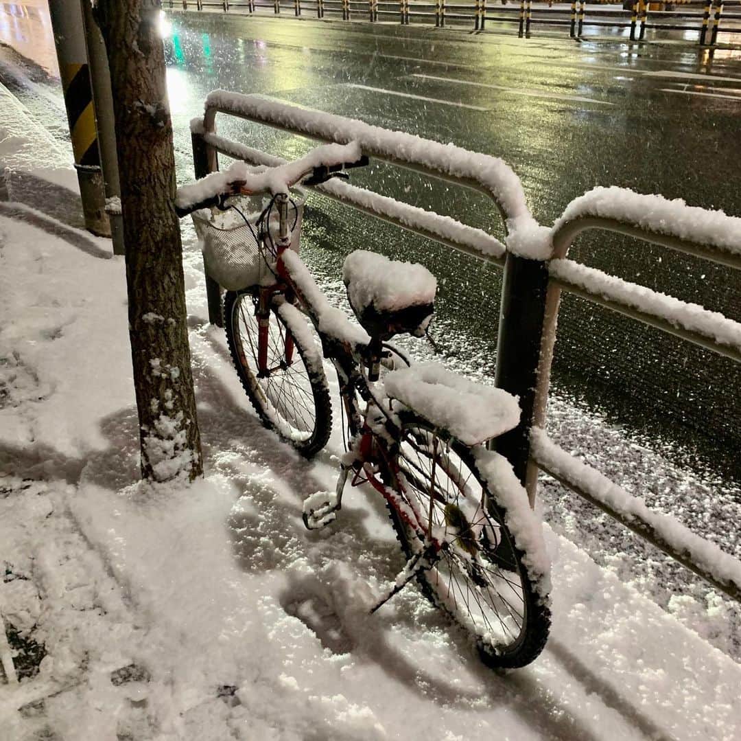 ビヤのインスタグラム：「뽀로로 마을」