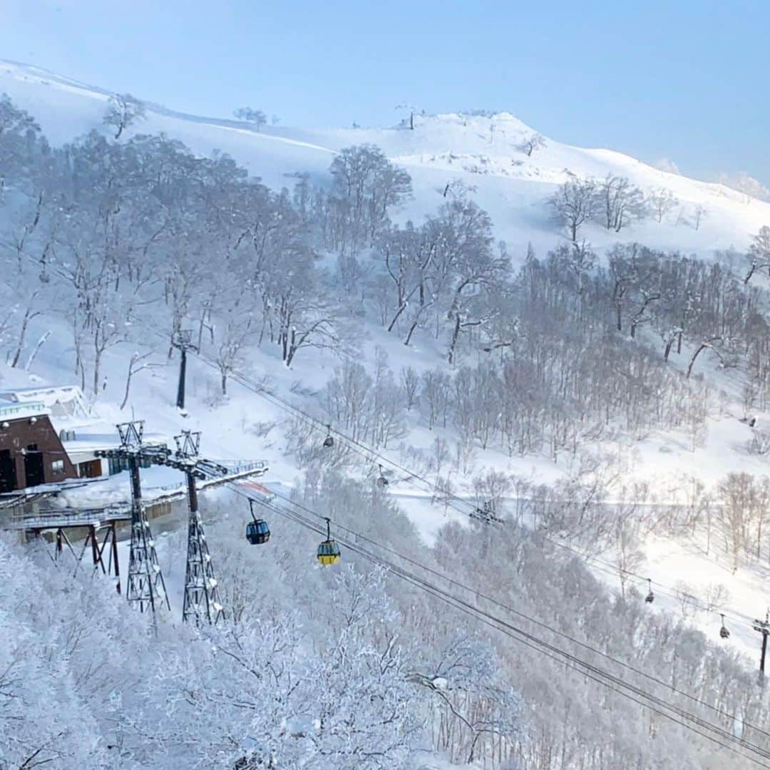 星野リゾート　トマムさんのインスタグラム写真 - (星野リゾート　トマムInstagram)「Hoshino Resorts TOMAMU in January  降雪に恵まれた1月の星野リゾート　トマム。スロープスタイルや上級者限定解放エリアがフルオープンし、極上のパウダースノーでスキー場が覆われました。 今シーズンの星野リゾート　トマム スキー場の営業は4月5日までです🏂⛷❄️✨  #HoshinoResorts #星野リゾート #tomamu #hoshinoresortstomamu #星野リゾートトマム #トマム #risonaretomamu #リゾナーレトマム #risonare #リゾナーレ #北海道旅行 #星野集團 #Hokkaidotrip #霧氷テラス　#terraceoffrosttree」2月5日 16時47分 - hoshinoresorts_tomamu