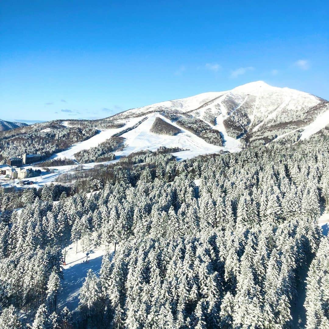 のインスタグラム：「Hoshino Resorts TOMAMU in January  降雪に恵まれた1月の星野リゾート　トマム。スロープスタイルや上級者限定解放エリアがフルオープンし、極上のパウダースノーでスキー場が覆われました。 今シーズンの星野リゾート　トマム スキー場の営業は4月5日までです🏂⛷❄️✨  #HoshinoResorts #星野リゾート #tomamu #hoshinoresortstomamu #星野リゾートトマム #トマム #risonaretomamu #リゾナーレトマム #risonare #リゾナーレ #北海道旅行 #星野集團 #Hokkaidotrip #霧氷テラス　#terraceoffrosttree」