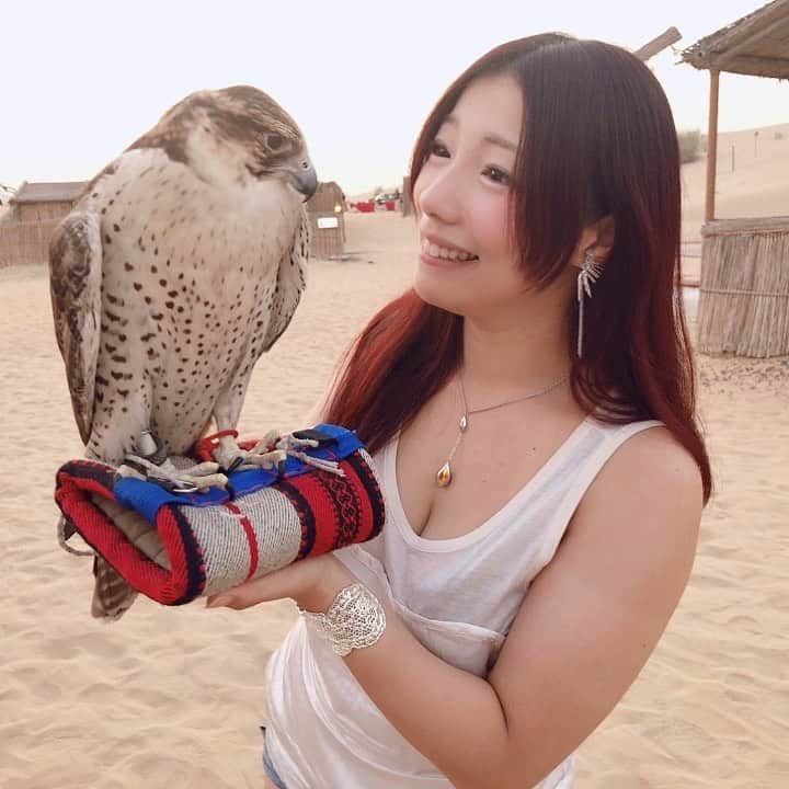 ツナマヨのインスタグラム