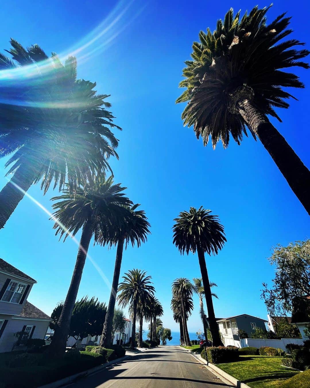 カリフォルニアスタイルのインスタグラム：「Street to the Ocean. 今日も気持ち良い1日を‼️  #californiastyle #california #californialife #californialove #losangeles #palosverdes #ocean #bluesky #sunshine #palmtrees #カリフォルニアスタイル #カリフォルニア #カリフォルニア工務店 #ライフスタイル不動産 #ライフスタイル #気持ちいい #気持ち良い #朝 #ロサンゼルス #パロスバーデス」