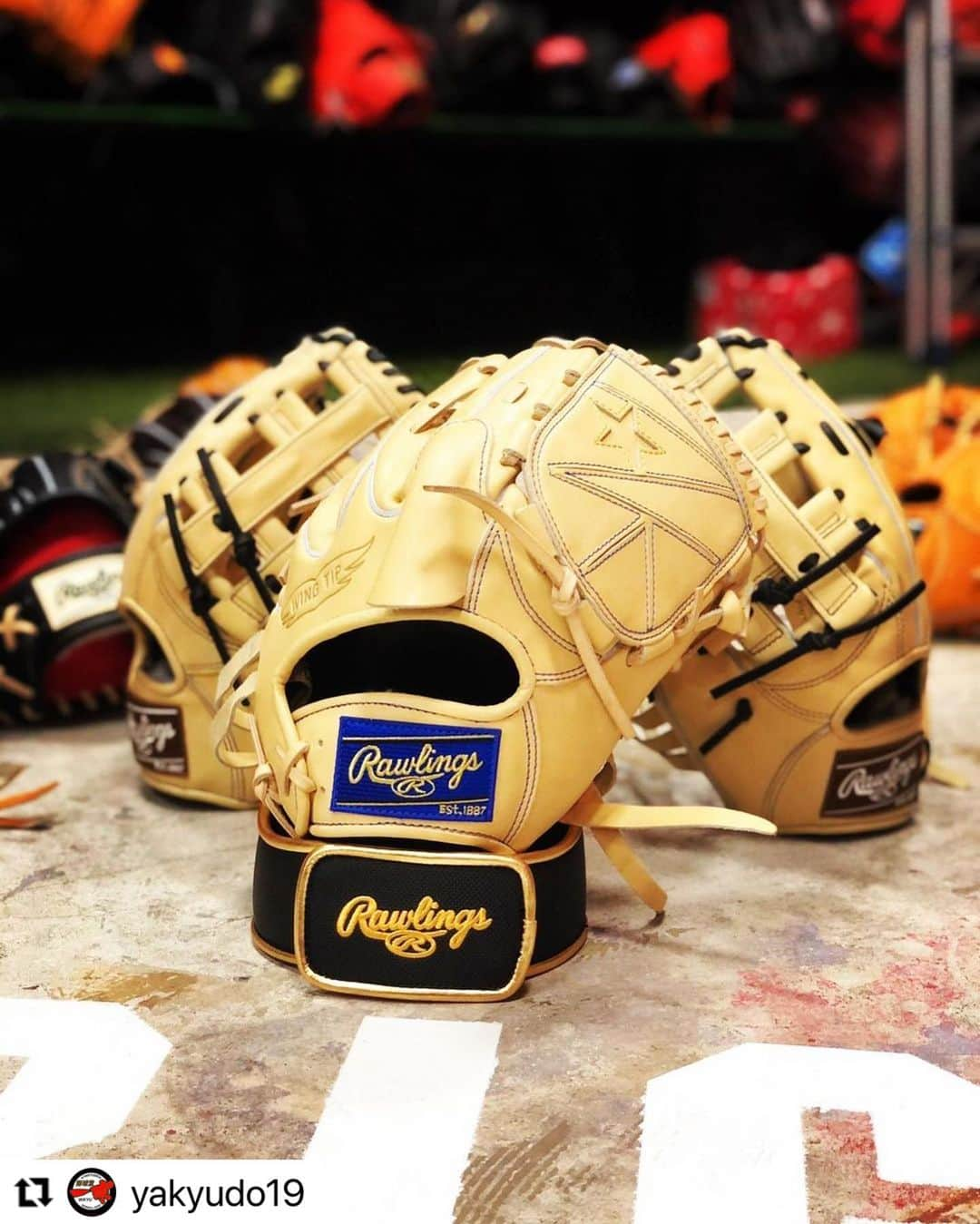 Rawlings Japanさんのインスタグラム写真 - (Rawlings JapanInstagram)「#Repost @yakyudo19 with @make_repost ・・・ ・ ⚾️野球堂一球です⚾️ ・ 今日はこの前一球を卒業した犬山君が遊びに、いや働きに？笑　来てくれましたー🤩✨笑笑 ・ 新しく入ったローリングスの一球オリジナルの写真まで撮ってくれました㊙️㊙️ ・ やっぱ綺麗に撮ってくれるなと感心🤤 久々に楽しかった笑 ・ ローリングスのグローブは本当に質感がしっとりしてる！ 今回糸井選手イメージのカラーリングが入ってますがめちゃめちゃ良い！ ウェブの左側のみにスリットが入っているのでグローブの動きが良くなります！㊙️㊙️㊙️ ・ 犬山君、また働きに(遊びに)来て下さいねー笑笑 ・ 是非店頭にてチェックしてみてください！ ・ 御来店お待ちしております！🙇‍♂️ ・ #野球堂一球  #一球 #IKKYU #Baseball #野球 #Baseballshop #野球専門店 #大阪 #OSAKA #寝屋川 #硬式野球 #軟式野球 #グラブ #グローブ #バット #甲子園 #高校野球 #ローリングス  #rawlings  #rawlingsglove  #rawlingsbaseball @rawlings_japan_llc」2月5日 19時07分 - rawlings_japan_llc