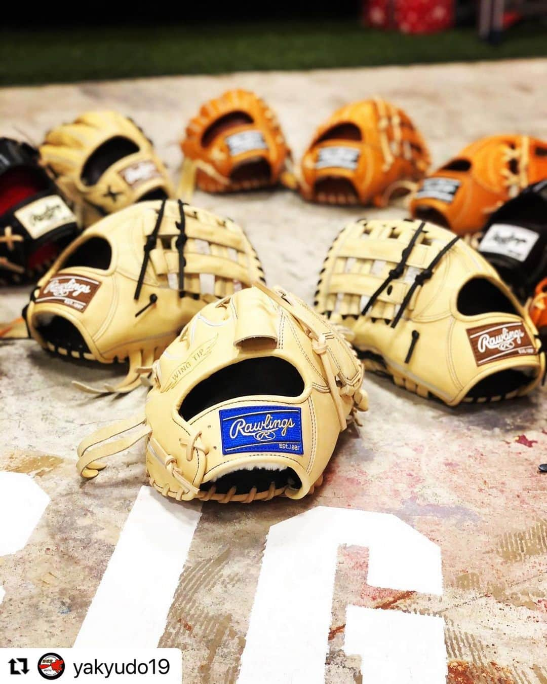 Rawlings Japanさんのインスタグラム写真 - (Rawlings JapanInstagram)「#Repost @yakyudo19 with @make_repost ・・・ ・ ⚾️野球堂一球です⚾️ ・ 今日はこの前一球を卒業した犬山君が遊びに、いや働きに？笑　来てくれましたー🤩✨笑笑 ・ 新しく入ったローリングスの一球オリジナルの写真まで撮ってくれました㊙️㊙️ ・ やっぱ綺麗に撮ってくれるなと感心🤤 久々に楽しかった笑 ・ ローリングスのグローブは本当に質感がしっとりしてる！ 今回糸井選手イメージのカラーリングが入ってますがめちゃめちゃ良い！ ウェブの左側のみにスリットが入っているのでグローブの動きが良くなります！㊙️㊙️㊙️ ・ 犬山君、また働きに(遊びに)来て下さいねー笑笑 ・ 是非店頭にてチェックしてみてください！ ・ 御来店お待ちしております！🙇‍♂️ ・ #野球堂一球  #一球 #IKKYU #Baseball #野球 #Baseballshop #野球専門店 #大阪 #OSAKA #寝屋川 #硬式野球 #軟式野球 #グラブ #グローブ #バット #甲子園 #高校野球 #ローリングス  #rawlings  #rawlingsglove  #rawlingsbaseball @rawlings_japan_llc」2月5日 19時07分 - rawlings_japan_llc