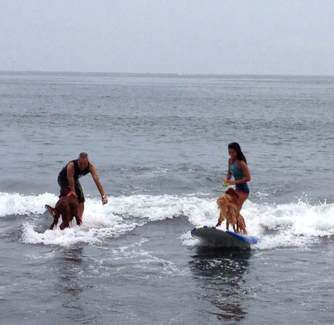 大村 奈央さんのインスタグラム写真 - (大村 奈央Instagram)「サーフィン犬Pinoとの思い出🌈🐶🐶🐶🐶🏄‍♀️」2月5日 19時27分 - naoomura