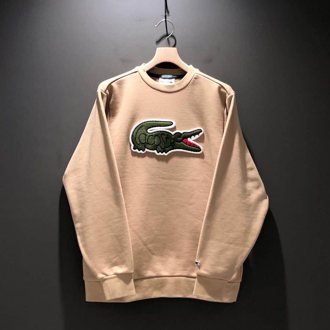 BEAMS JAPANさんのインスタグラム写真 - (BEAMS JAPANInstagram)「＜LACOSTE＞×＜BEAMS＞ Mens Big Croco Crew Sweat Special ¥18,000+TAX Item No.11-13-4278 BEAMS JAPAN 3F ☎︎03-5368-7317 @beams_japan #lacoste #beams #beamsjapan #beamsjapan3rd Instagram for New Arrivals Blog for Recommended Items」2月5日 19時31分 - beams_japan