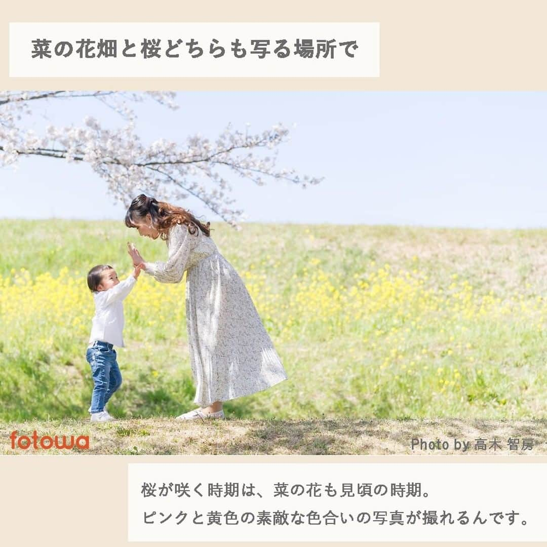 otowa (フォトワ)さんのインスタグラム写真 - (otowa (フォトワ)Instagram)「あと1ヶ月ちょっとで桜の季節に🌸 桜を撮る写真は幻想的でとっても素敵！ おすすめの撮影シーズンの1つでもあります📸  そんな桜と撮る写真のアイデアを紹介します✍🏻  ...  子ども・家族の出張撮影「fotowa（フォトワ）」📸 👉@fotowa.jp  平日：19,800円（税抜） 休日：23,800円（税抜）  -写真は全てデータでもらえる -指名料や出張料などの追加料金なし -レビューや写真から好みのカメラマンに依頼   感染予防にも配慮しながら撮影いたします。  ...  #fotowa #フォトワ   #出張撮影 #自宅出張 #写真好き #写真好きな人と繋がりたい #写真好きな人と繋がりたい #成長記録 #家族写真 #ファミリーフォト #ロケーションフォト #子育て #子育てグラム #子育てぐらむ #子育て日記 #ママスタグラム #べびすたぐらむ #ベビスタグラム #子どものいる暮らし #入学写真 #卒園写真 #新一年生 #記念日フォト #卒業写真 #バースデーフォト #桜フォト」2月5日 19時34分 - fotowa.jp