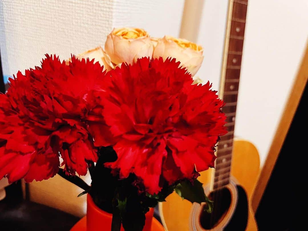 舘野将平さんのインスタグラム写真 - (舘野将平Instagram)「花が美しく見えて 癒しを感じて 好きだなぁって思える時は 心が穏やかで充実してるという事ですかね。 優しく、丁寧に愛を持って過ごそう2021。  #花のある暮らし  #2021年 #新しく始めた事  #無垢の愛 #カーネーション」2月5日 19時46分 - shohei_tateno_921