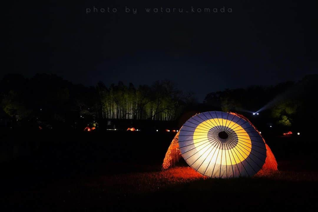 駒田航のインスタグラム：「Bangasa. Blue side.  #photo #photographer #sony #sonyalpha7riv #instapic #instaphoto #night #light #landscape #japanese #umbrella #japan #blue」