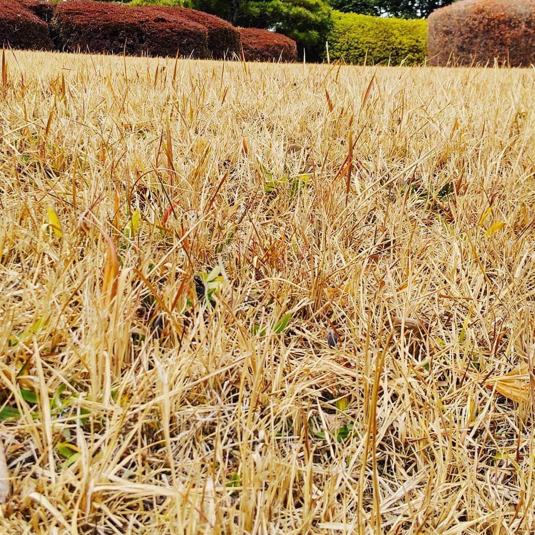 吉井怜さんのインスタグラム写真 - (吉井怜Instagram)「まだまだ冬ですね〜🥶 春が待ち遠しい❣️ けど花粉症だから春は辛い😂」2月5日 20時10分 - rei_yoshii