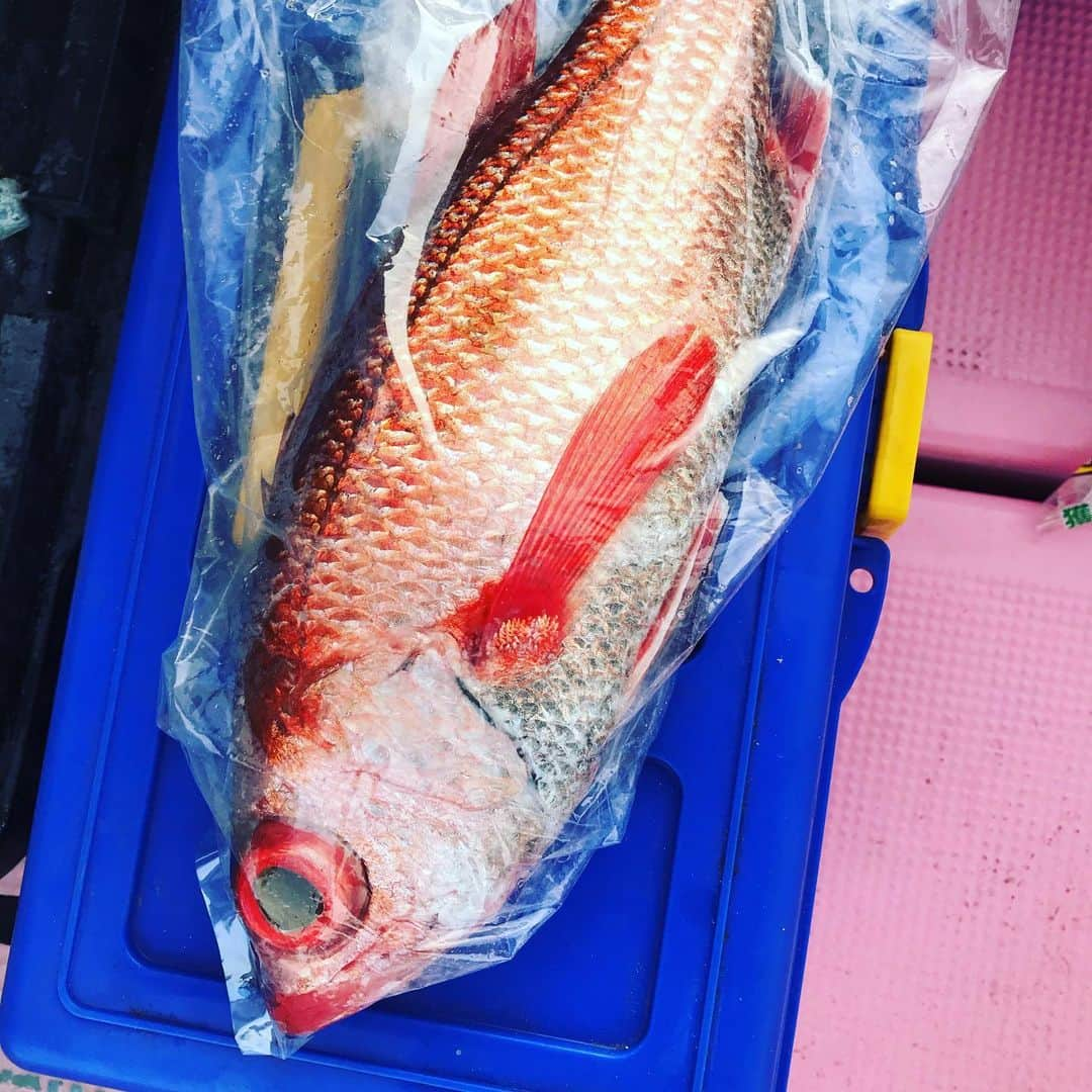 佐々木主浩さんのインスタグラム写真 - (佐々木主浩Instagram)「アカムツ通称ノドグロ✨ 高級魚として有名です。脂が乗っていて炙りや煮付けにすると最高に美味しいです。 #fishing #佐々木主浩 #npb #daiwa #denaベイスターズ #釣り #アカムツ #ノドグロ #緑龍丸 #大魔神」2月5日 20時47分 - sasakikazuhiro.22