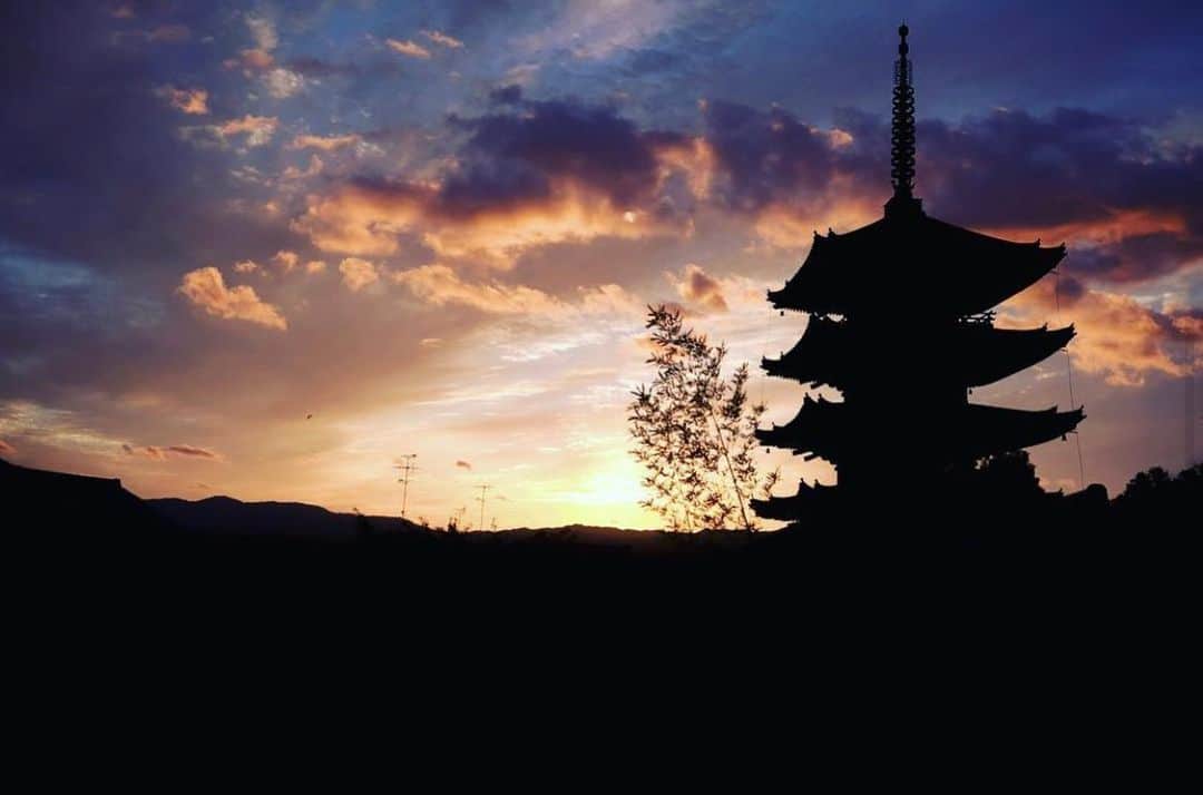 THE SODOH OFFICIALのグルメインスタ