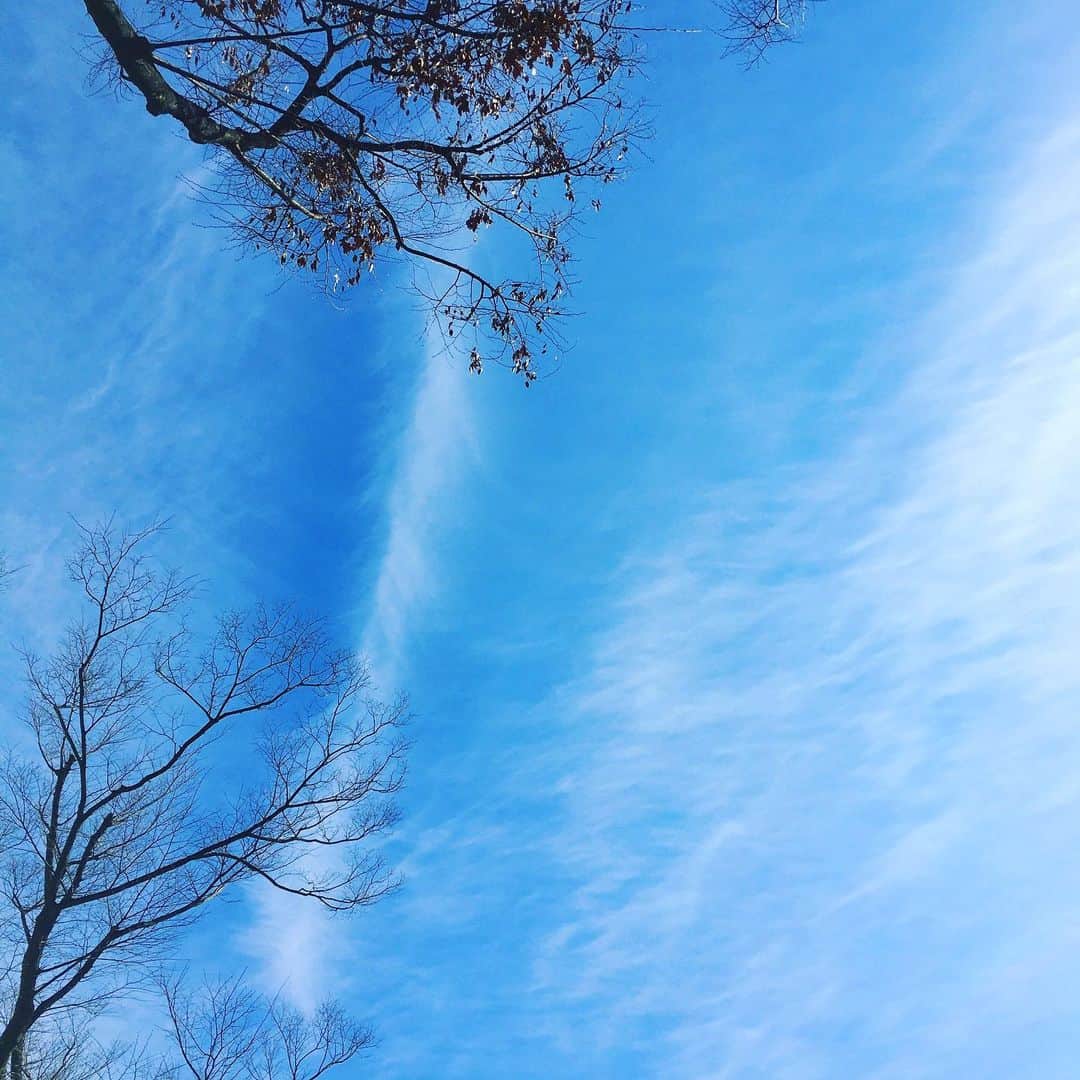 平野由実さんのインスタグラム写真 - (平野由実Instagram)「今日の空。 雲がスーッとのびていた。  #空　#ソラ　#sky」2月5日 20時57分 - yumi_hiranoo