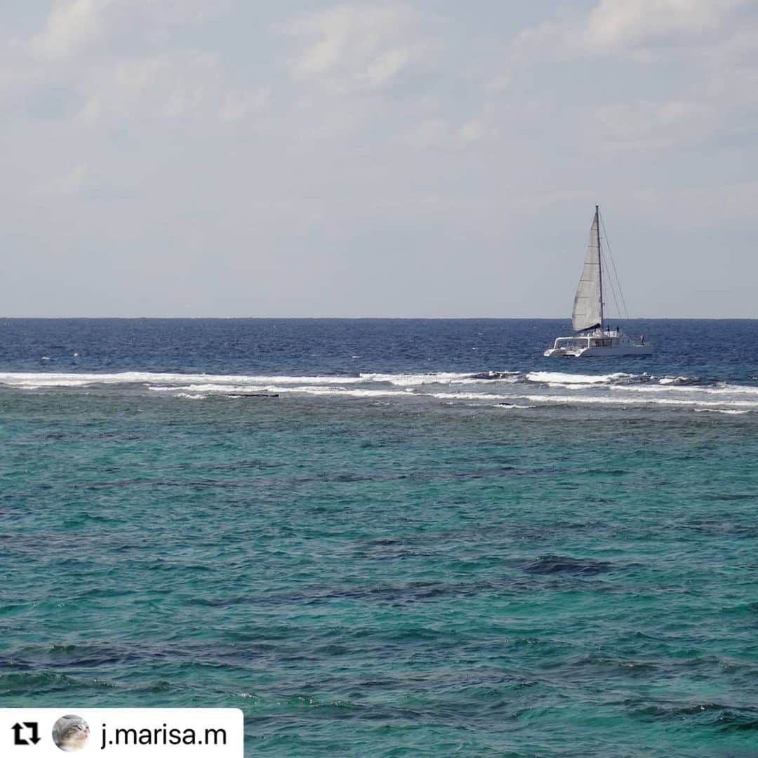 ANA.IC.MANZA.BEACH.RESORTさんのインスタグラム写真 - (ANA.IC.MANZA.BEACH.RESORTInstagram)「#Repost @j.marisa.m with @make_repost ・・・ #memories #throwback #8yearsago InterContinental ANA Manza Beach Resort, Okinawa, Japan, 26 January 2013.  I will be back once Covid situation has settled down!  -- We'll look forward to it! --  #intercontinentalmanzabeachresort #beach #bluesea #intercontinentallife #okinawa #manzabeach #manzabeachresort #Japan #anaintercontinentalmanzabeachresort #万座ビーチ #万座 #anaインターコンチネンタル万座ビーチリゾート #沖縄 #日本」2月5日 21時01分 - ana.ic.manza.beach.resort