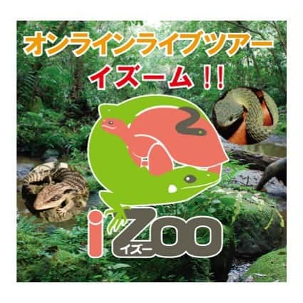 高松雪乃のインスタグラム
