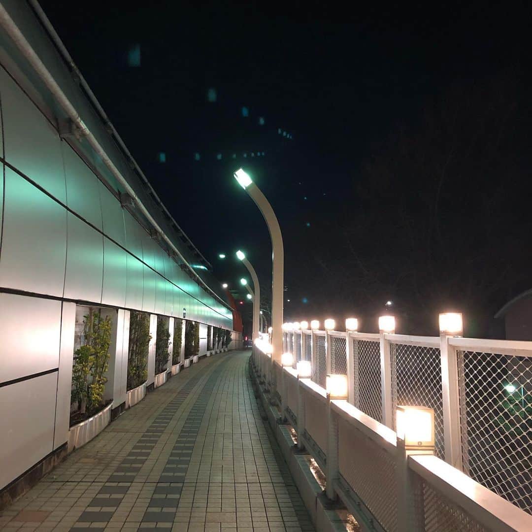 櫻井リヤさんのインスタグラム写真 - (櫻井リヤInstagram)「夜歩く。21時でこの人気のなさ」2月5日 21時08分 - liya_sakurai