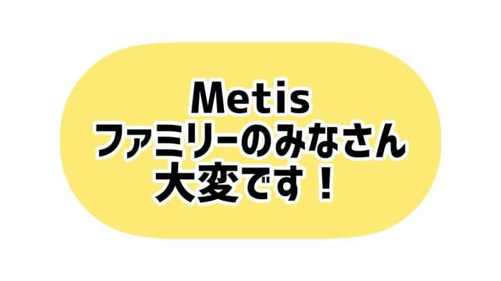 Metisのインスタグラム