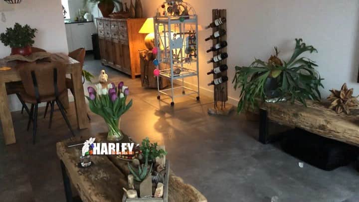 ? Enjoy Harley's Lifeのインスタグラム