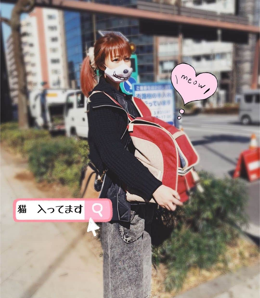 知華のインスタグラム：「2020.02.05 仕事の前に 🐱の病院とトリミングへ。  #重かった #7kg 13歳の高齢ですが、何ともなく元気です✌️ #ソマリ#ラグドール #マンチカン#ノルウェージャンフォレストキャット#tomocahome#ねこ#cats#family#Somali#ragdoll#NorwegianForestCat#cats#家族#love#happylife #多頭飼い」