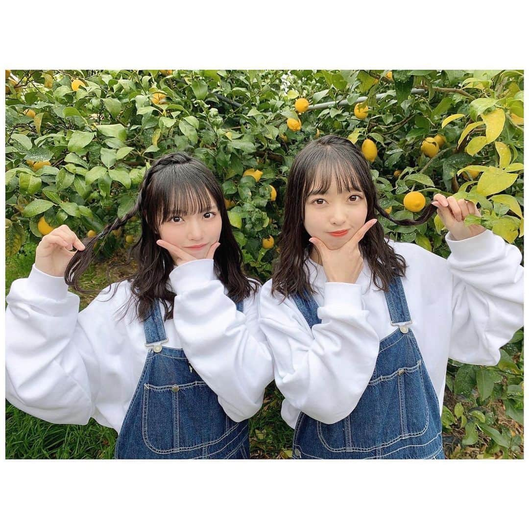 岩田陽菜さんのインスタグラム写真 - (岩田陽菜Instagram)「レモン🍋にこにこ☺✨﻿ ﻿ 明日2人でチェキ会！👩‍❤️‍👩 ﻿ ﻿#岩石  #レモン#lemon#檸檬#瀬戸田#広島#レモン狩り#オーバーオール#ヘアアレンジ#編み込み#双子コーデ」2月5日 22時02分 - hina_naso_stu48