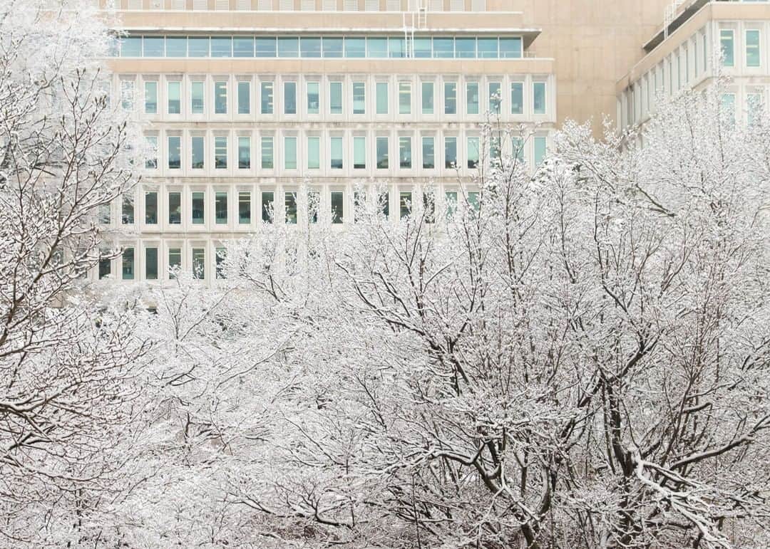 CIAさんのインスタグラム写真 - (CIAInstagram)「Our photographers couldn't resist playing in the snow. Check out these incredible photos of #CIA's (snowy) campus! . . . #FlashbackFriday」2月6日 4時06分 - cia