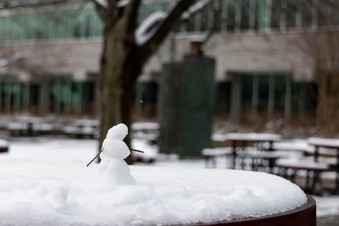 CIAさんのインスタグラム写真 - (CIAInstagram)「Our photographers couldn't resist playing in the snow. Check out these incredible photos of #CIA's (snowy) campus! . . . #FlashbackFriday」2月6日 4時06分 - cia
