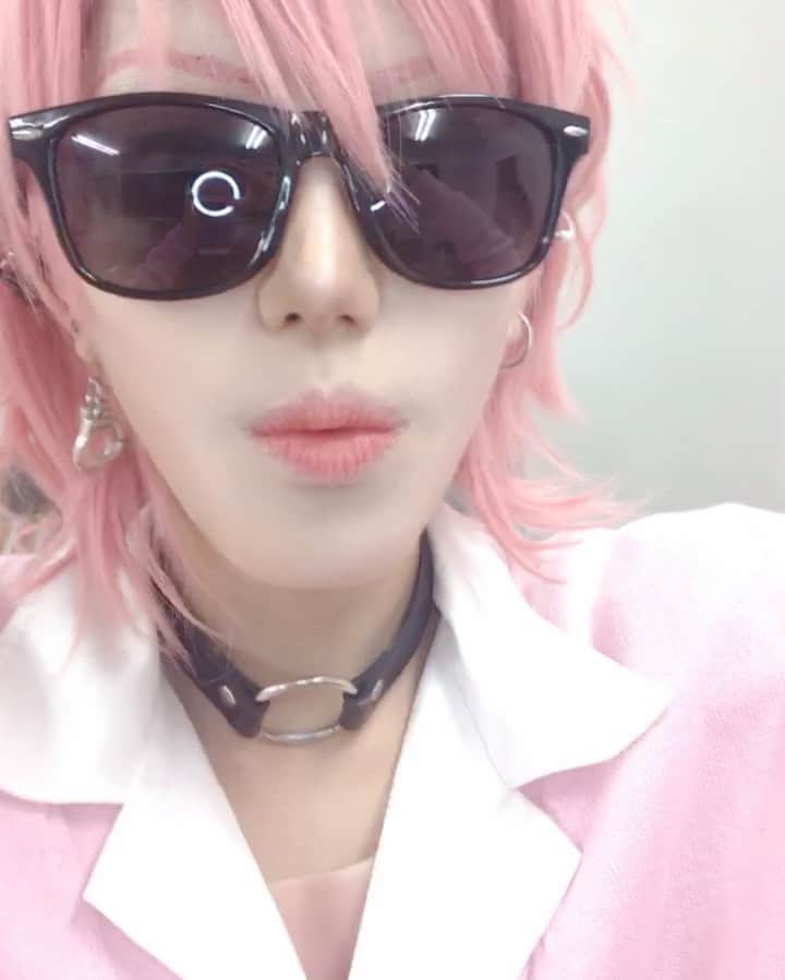だるまのインスタグラム