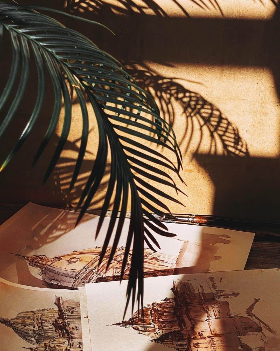 のインスタグラム：「Light and shadow never stand still」