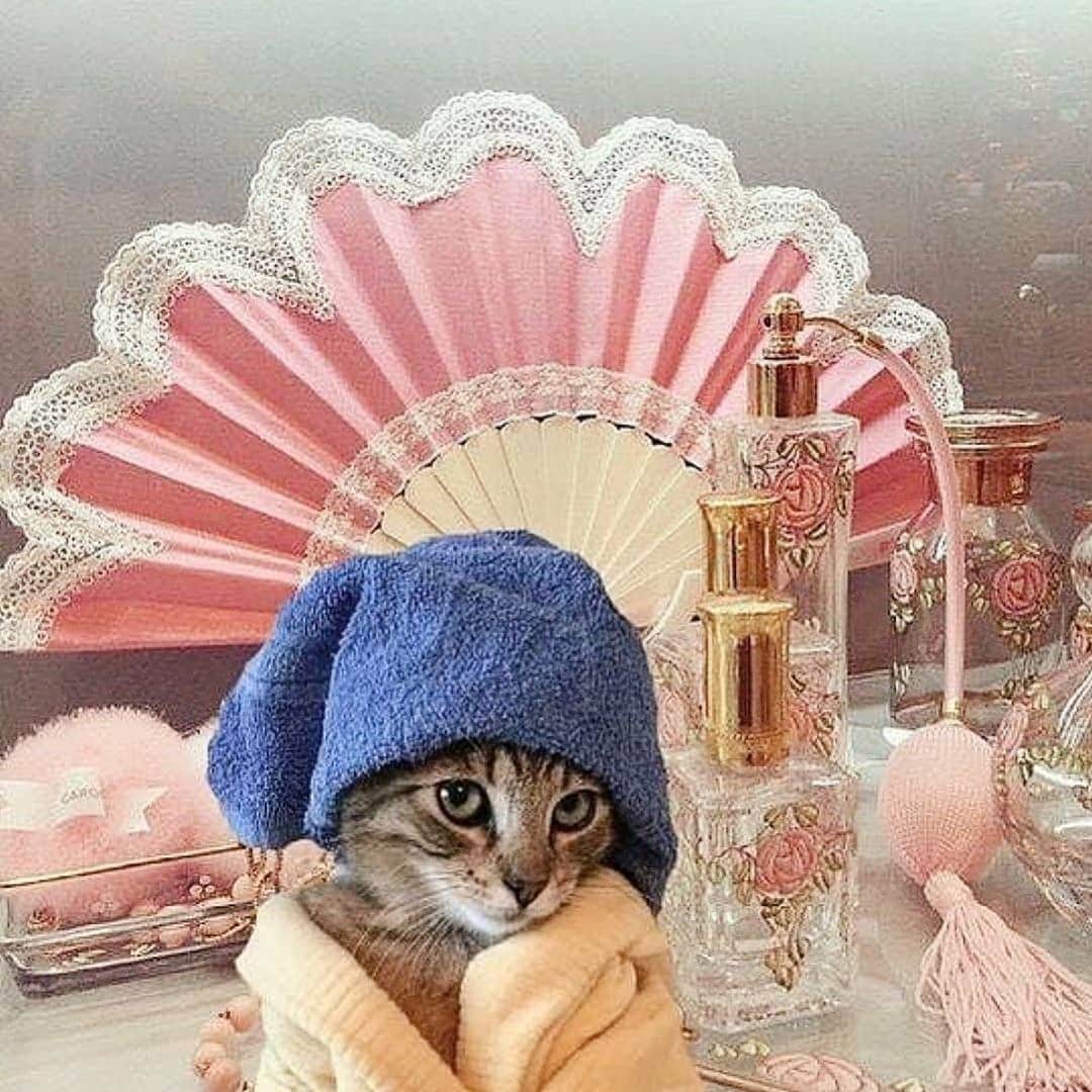 SHEINのインスタグラム：「What are your weekend plans?  @lisamcconniffe」