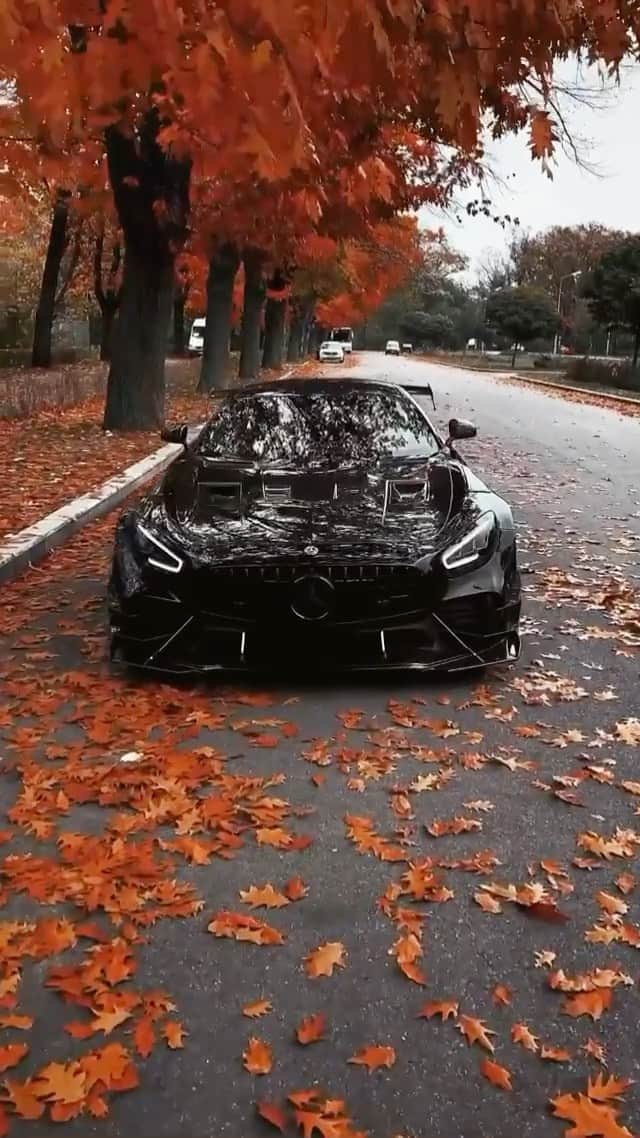 CARLiFESTYLEのインスタグラム