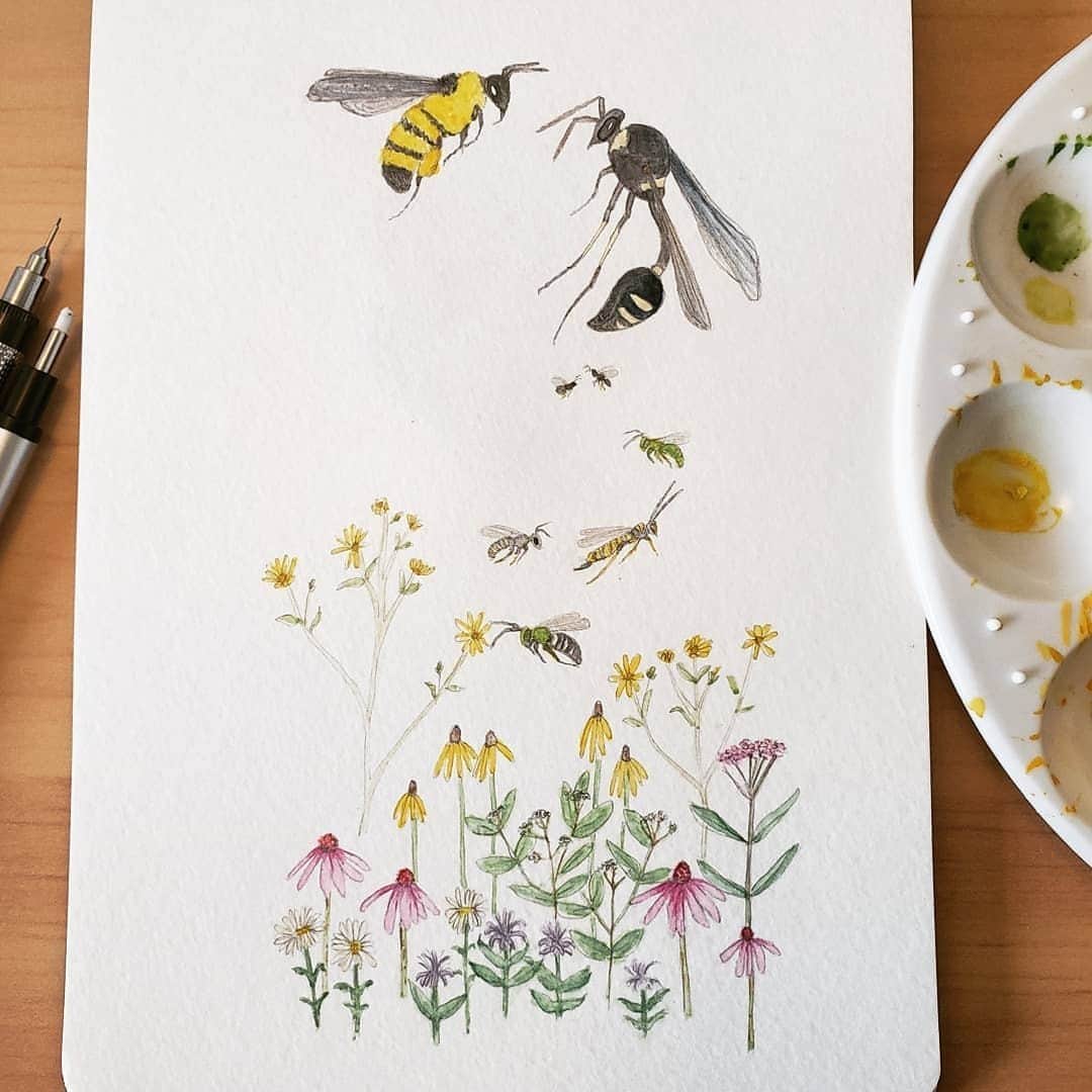 Pentel Canadaのインスタグラム：「Even when we get stuck inside, we still can dream about the beauty of nature. 😌✨⁠ @bri.bugs will show you the tiny insects' world in her cute illustrations and pictures.⁠ We can see her love for the small creatures and hear the buzzing of their wings😍⁠ ⁠ 📷 Created by: @bri.bugs⁠ 🖊 Product: GRAPHGEAR 500⁠ 👉Follow and tag @pentelcanada for a chance to be featured⁠!⁠ ⁠ ⁠ #pentel #pentelcanada #artistoninstagram #worldofartists #art_spotlight  #sketch #scketching #sketchaday #scketchbook  #pencils #pencil #pencilart #mechanicalpencil #insectillustration #wildlifeillustration #insectillustrations #wildlifeillustrations」