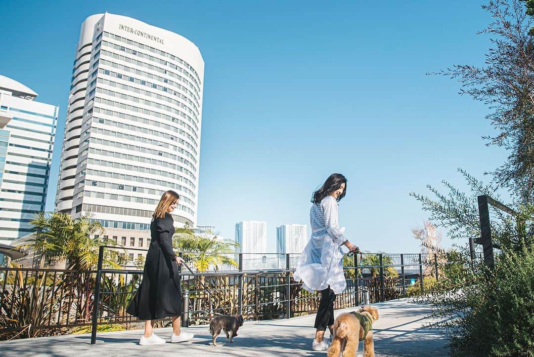 InterContinental Tokyo Bayさんのインスタグラム写真 - (InterContinental Tokyo BayInstagram)「. 2021年2月8日より、愛犬とごゆっくりお過ごしいただけるドッグフレンドリールームをホテル内8階にオープンいたします🐶 . フロアはわんちゃん専用となり、ペットコンシェルジュが常駐する専用のラウンジを有し、チェックイン・アウトの手続きや、愛犬とご一緒に寛げるコミュニケーションの場所としてご利用いただけます🐕🐩🦮 . 客室はレインボーブリッジまたは隅田川の景色を目の前に臨み、35～52m²のお部屋をご用意。 愛犬用のケージや各種アメニティを揃え、さらに朝食をルームサービスで提供いたしますので、安心してごゆっくりお過ごしいただけます。  また、ウォーターフロントの立地ならではの東京湾の海と空を満喫するお散歩コースや、スタッフがリサーチした近隣のカフェや商業施設に立ち寄るコースなどもリコメンド☕️🐕‍🦺 大切な愛犬との心安らぐひとときをサポートいたします💕 . #intercontinentaltokyobay  #intercontinental  #ホテルインターコンチネンタル東京ベイ  #インターコンチネンタル東京ベイ  #ドッグフレンドリールーム  #ドッグフレンドリーラウンジ #愛犬 #愛犬との暮らし  #愛犬との時間 #愛犬のいる生活  #愛犬とお出かけ #愛犬家  #わんこのいる生活 #わんこ  #わんこなしでは生きていけません会  #わんこのいる暮らし  #わんちゃん #わんちゃんと泊まれる宿  #愛犬と泊まれる宿  #愛犬と泊まれるホテル  #愛犬と旅行」2月6日 0時28分 - intercontitokyobay